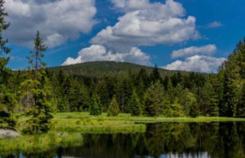 bergwärts - Foto 15