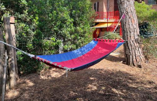 Casa duna sulla spiaggia - Foto 30