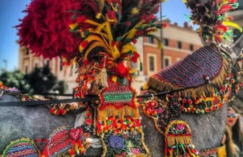 Home Ilardo - Foto 23