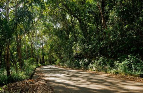 Casa das Tucaneiras - magnificent country house - Foto 48