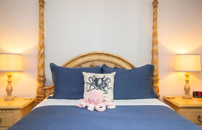 The Octopus Sanctuary - Foto 21