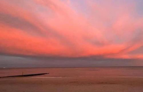 Le colibri - Photo 35