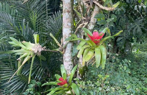 Flat Serra Negra, Bezerros - Foto 34