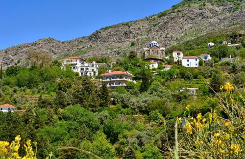 House in Εndless green - Arethousa, Ikaria - Photo 29
