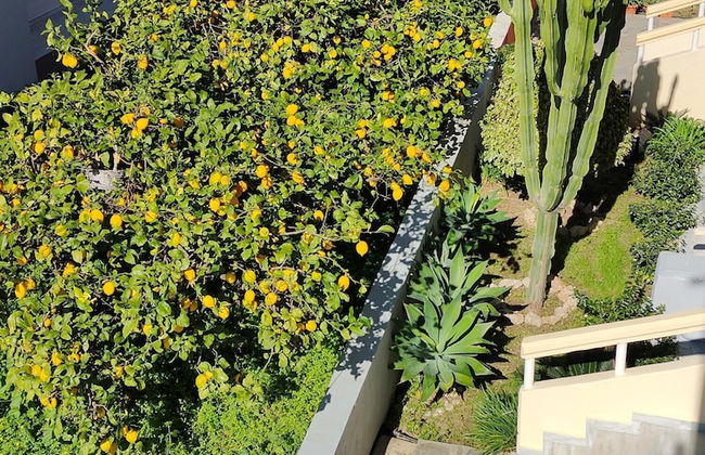 Lefteris Insta-worthy Studio With Balcony - Foto 2