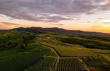 Apartment, close to Europa Park, Alsace, Black Forest, family friendly, dogs allowed - Foto 3