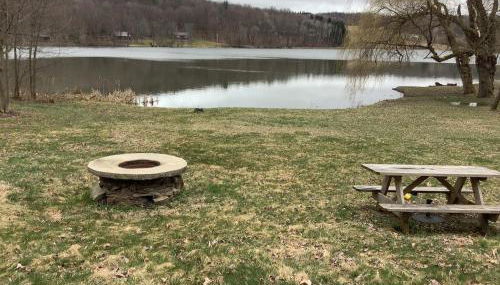 Lakeside Tiny Cozy Retreat - Foto 2, Garden