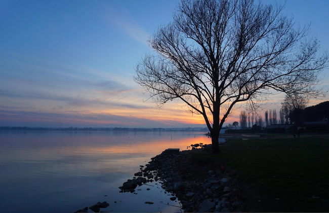 Myrtle apt With Shared Pool - Foto 17