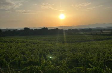 Cruna di Subida Wine Country House - Foto 47