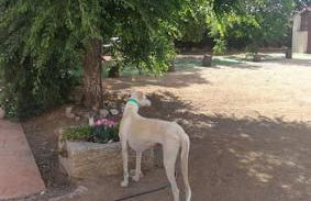 Villa Marichu. Piscina, BBQ y a 15 min Puy du Fou - Foto 21