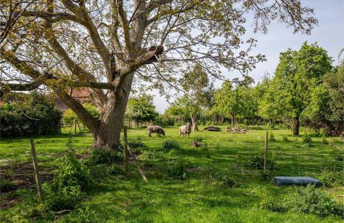 Charming flat in lovely rural location - Foto 27