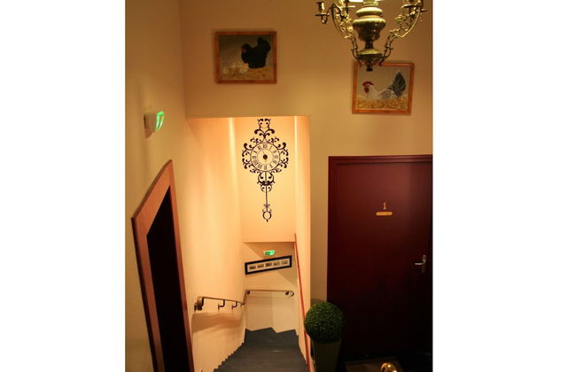 Les Hellebores - Foto 4