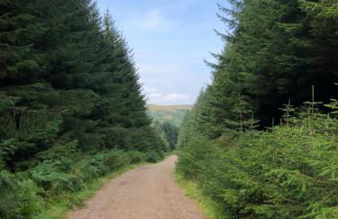 Corrie Lodge, Glendevon - Foto 31