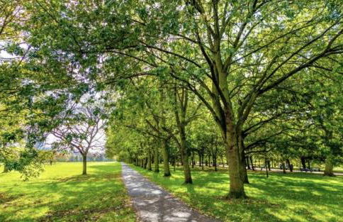 Business Travellers Studio FREE Late Check-Out - Foto 52