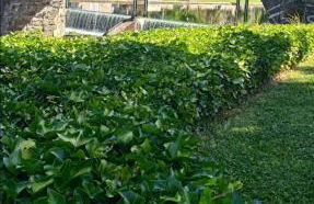 El Rincón del Cúa - Foto 5