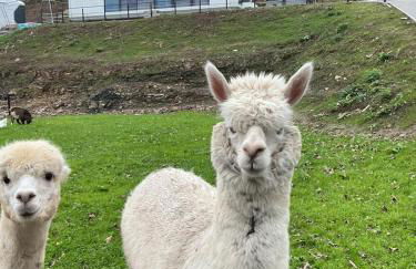 Galactic getaways MARS - Foto 1