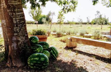 Masseria Cataldo - Foto 34