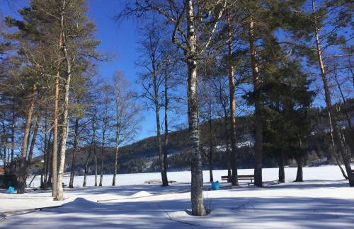 Titisee Haus Vogelnest - Photo 19