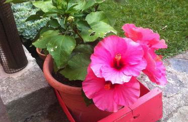 Villa Giuanne - Foto 74