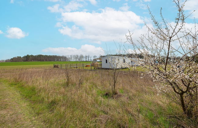 Wolności 16 - Dutch Cottages by Renters - Photo 59