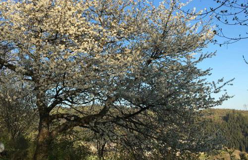 Ferienwohnung Zur Basemicke - Foto 32