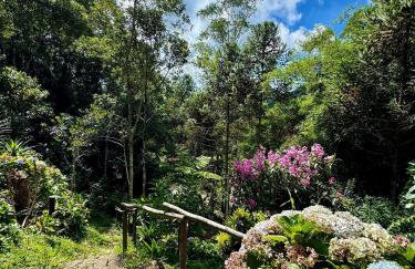 Chalés Refúgio de Lumiar - Chalé Recanto - Foto 22