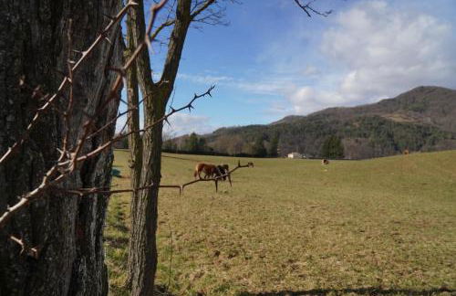 Cal Harrys - La Mejor Casa de vacaciones en Pyrenees con Vistas a la Montaña - Photo 34