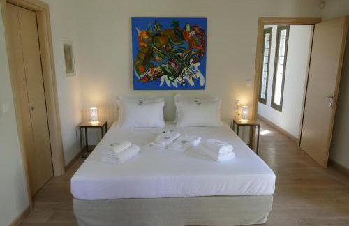 Art Villa Pelion - Foto 73