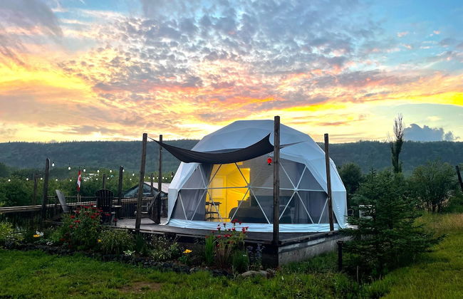 Port Wade Glamping Domes - Photo 26