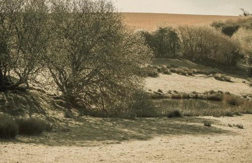 Tredethick Farm Cottages - Foto 28