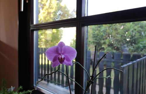 Ferienwohnung Lohrenz - Foto 23