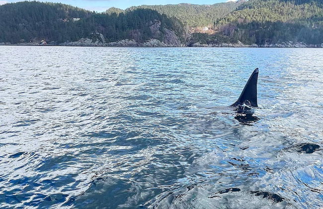 7 Person Holiday Home in Huglo-by Traum - Foto 16