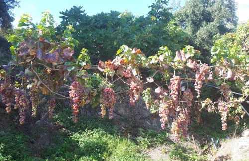 Villa Irini - Cretan Luxury Villa with Amazing View - Foto 47