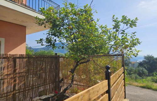 Sylvia's Sweet Home - Foto 65