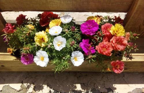 Cycladic House - Photo 79