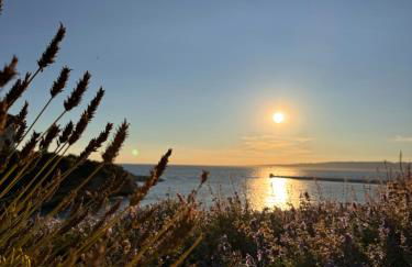 Terrasse plein sud, confort, clim, 2 mn du Vieux Port - Foto 15