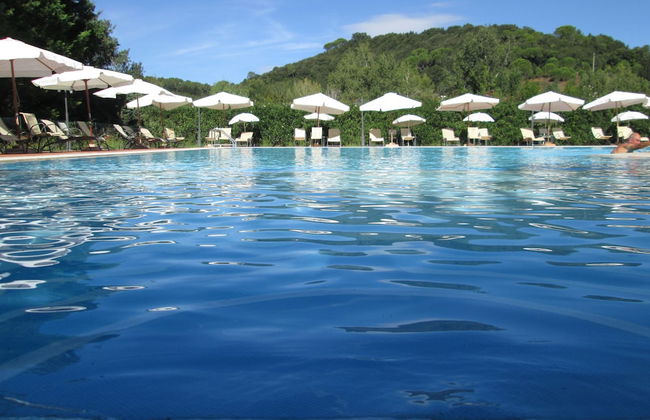 Fattoria La Steccaia - Foto 46