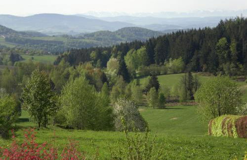 Ferienwohnungen Pichler - Foto 12