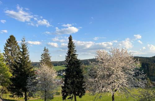 Apartment Kennys Bergblick Pool Sauna Tennis - Foto 30