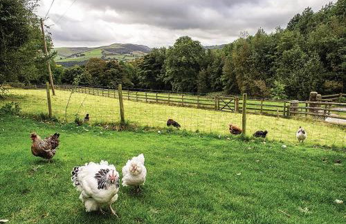 2 Bed in Hope Valley oc-pk431 - Foto 14