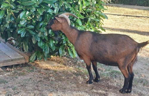 Chez Maïka et Etienne - Photo 37