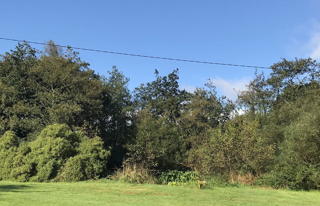 Carraigin Ban - Foto 36