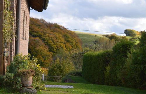 Ferienhaus Eifel - Photo 26