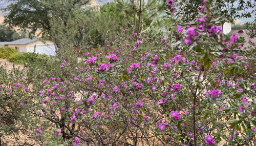 Mountain View Home - Foto 2