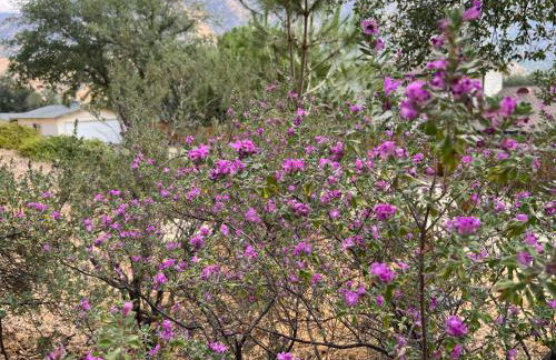 Mountain View Home - Foto 2