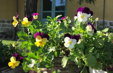 Agriturismo Is Conchisceddas - Foto 75