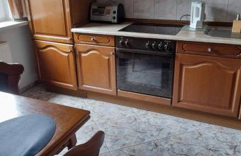 Agro-szyszynka - Foto 26