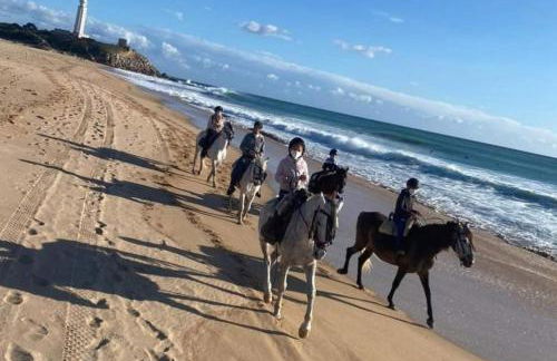 Finca el Abuelo Manuel - Foto 25