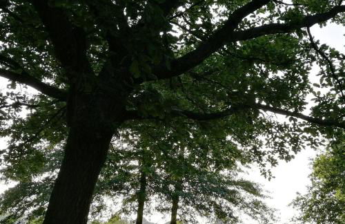 le gîte du fou logement 8 pers 13mn puy du fou - Foto 22