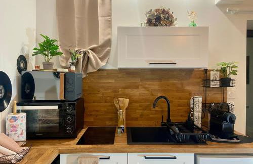 Studio Cosy dans les granges d un château accès spa - Foto 17